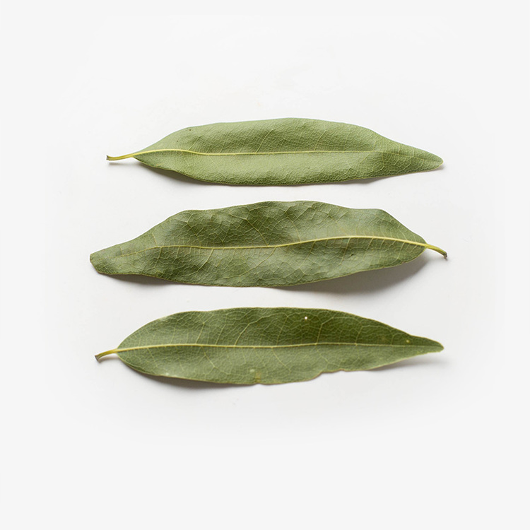 Bay Leaves