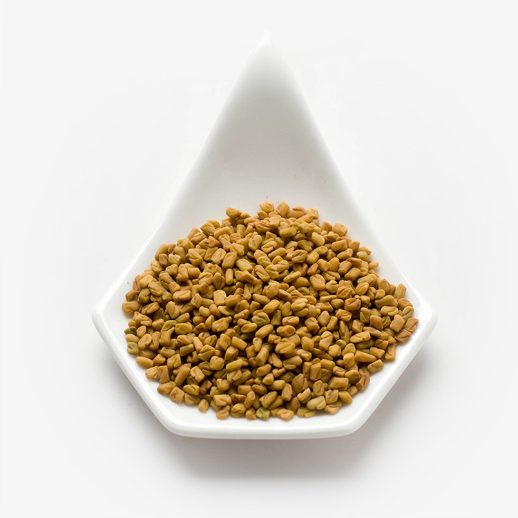 Fenugreek