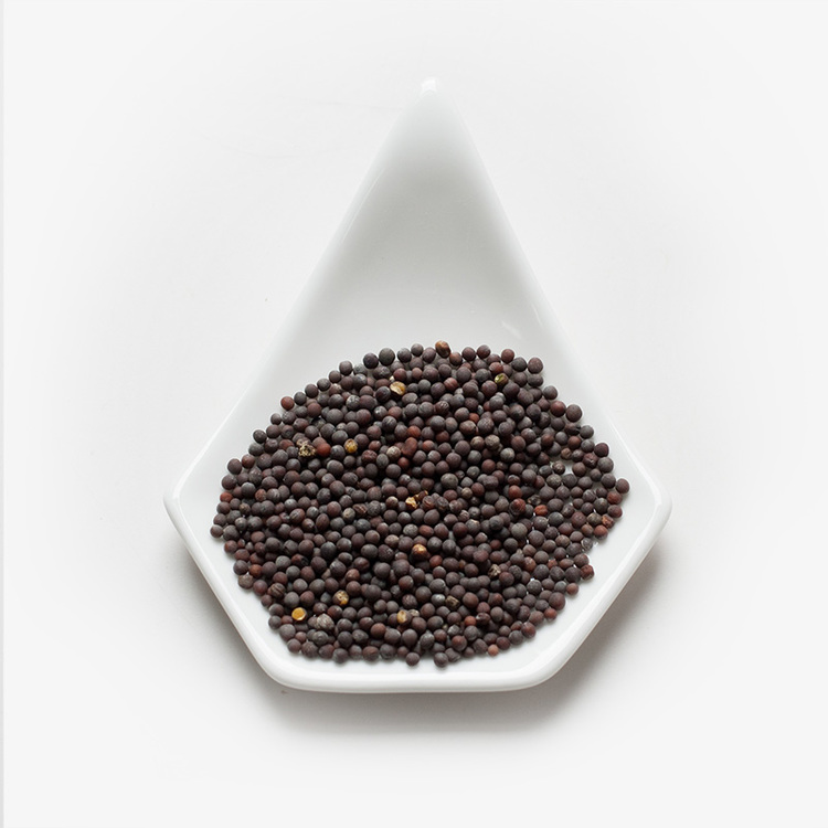 Black Mustard Seed